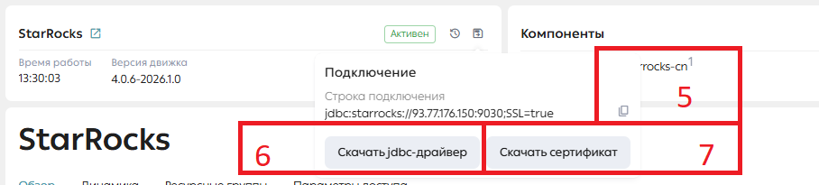 Окно параметров завершения, кнопка «Копировать» (5), кнопка «Скачать jdbc-драйвер» (6), кнопка «Скачать сертификат» (7)